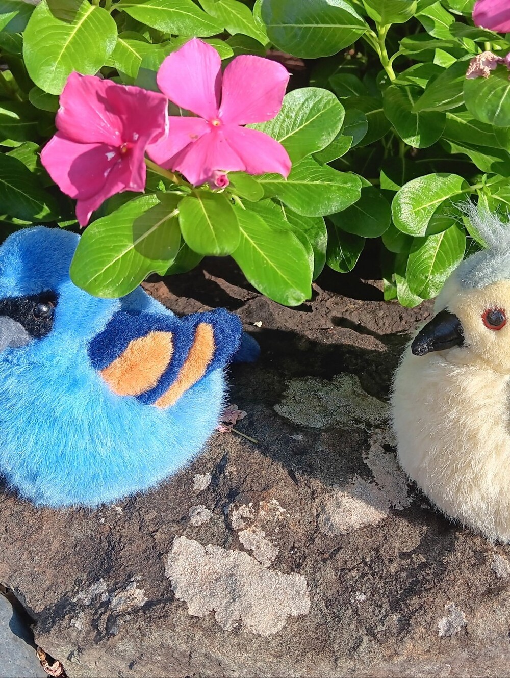 Wild Republic plush collectibles birds